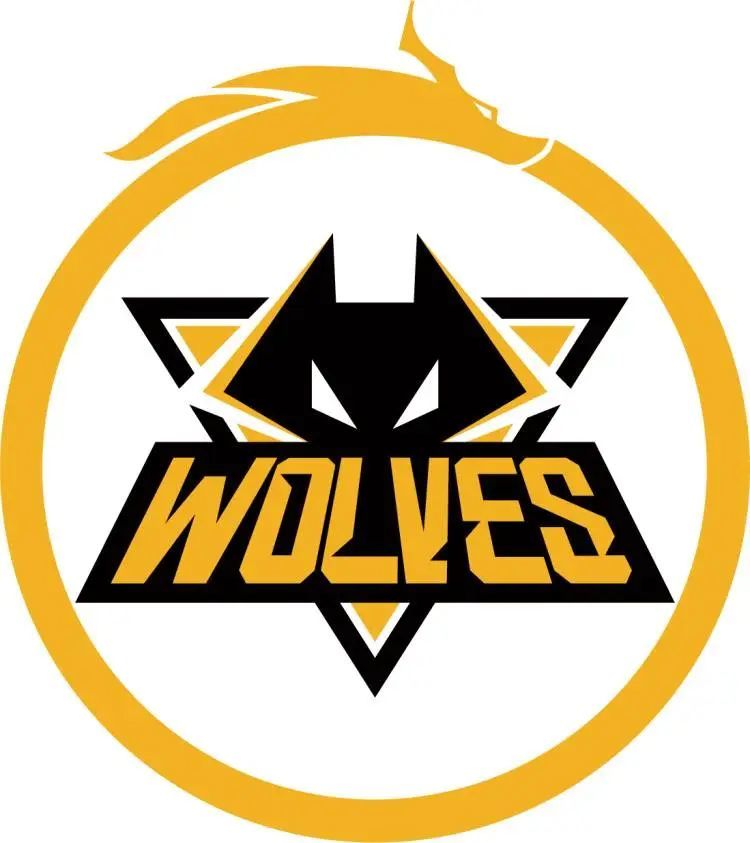 Gentle Mates 在 VCT 2025： EMEA Stage 2 中再次失利后失去了他们的 VCT 名额